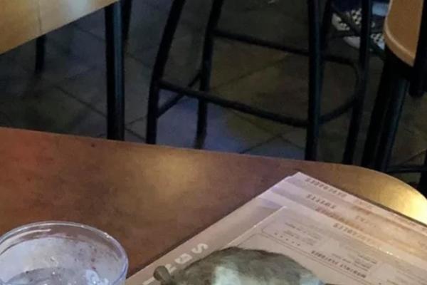 ŽIVOT JOJ SE ZGADIO: Sela da pogleda utakmicu, a onda joj je u hranu upalo nešto zbog čega se ZGROZILA! (FOTO)