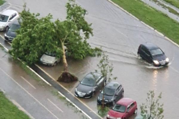 VETAR ČUPA DRVEĆE, POTPUNI HAOS NA ULICAMA PRESTONICE! Jako nevreme preplašilo građane! (VIDEO)