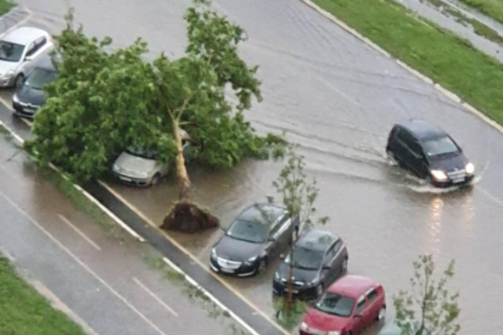 VETAR ČUPA DRVEĆE, POTPUNI HAOS NA ULICAMA PRESTONICE! Jako nevreme preplašilo građane! (VIDEO)