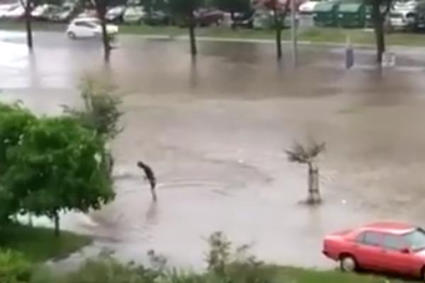 NOVOBEOGRADSKI SURFER IZ BLATA: Dok je bujica gutala zemlju i nosila kola, on se baš dobro zabavljao (VIDEO)