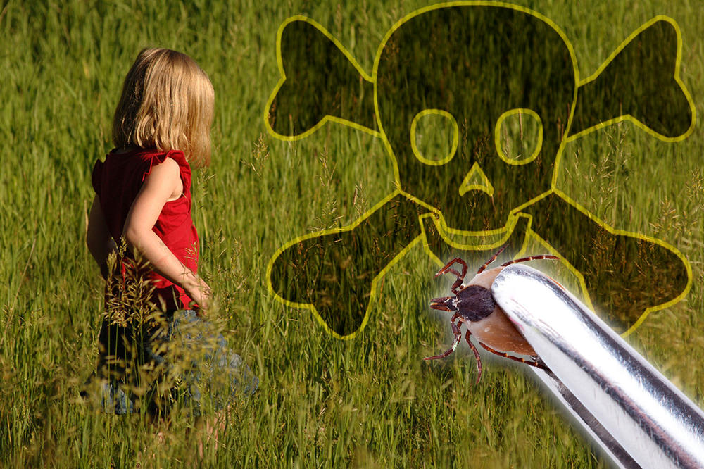 BEOGRADOM HARA OPASNA BOLEST! Posle ujeda ovog insekta SLEDE TEŠKE INFEKCIJE! ČUVAJTE IH SE, deca su najugroženija