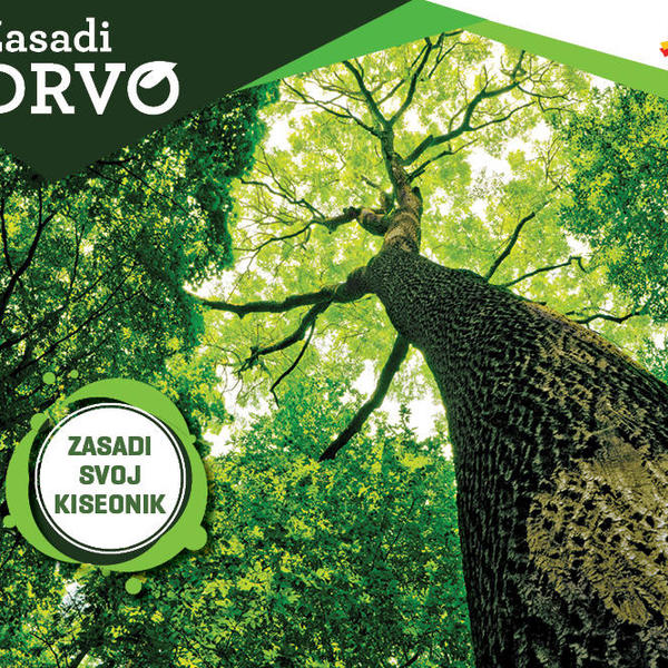 POKRENUT NAJVEĆI PROJEKAT SADNJE DRVEĆA U SRBIJI