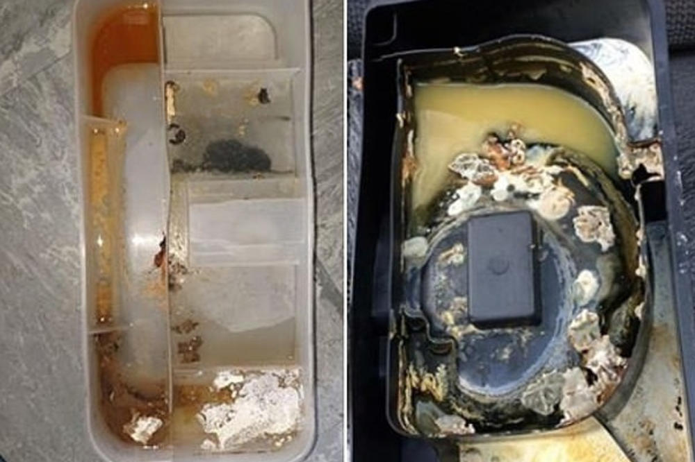 U KUHINJI VAM SMRDI, A NE ZNATE ODAKLE? Pripremite želudac, čeka vas ovakav prizor u SAKRIVENOM DELU ZAMRZIVAČA!