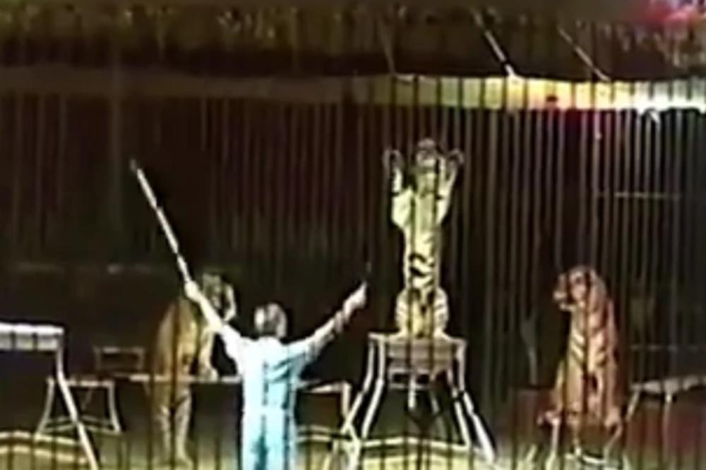 CIRKUS VIŠE NKADA NEĆE BITI ISTI! U Americi uvode ZABRANU koja će PROMENITI SVE