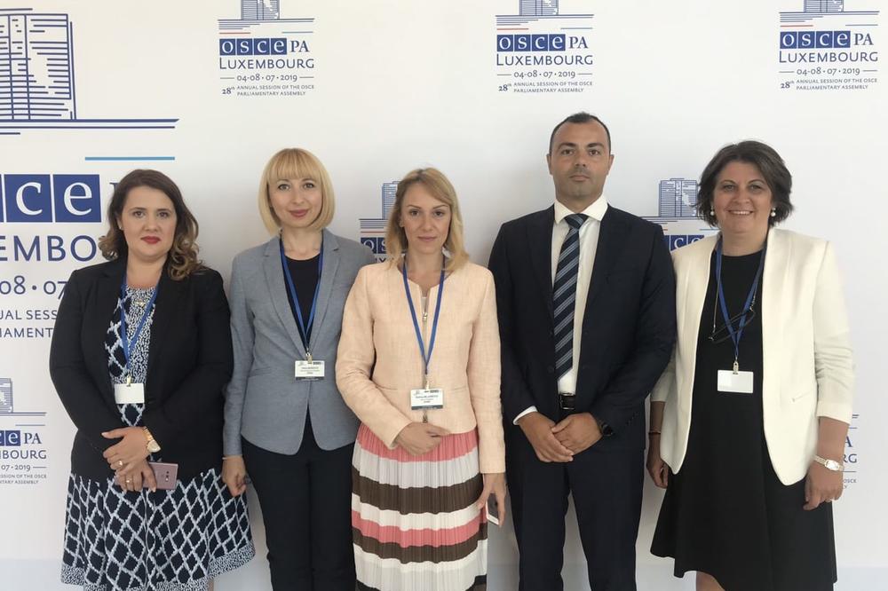 REDOVNO ZASEDANJE: Srpski poslanici na zasedanju Parlamentarne skupštine OEBS (FOTO)