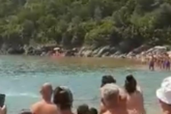 PANIKA NA PLAŽI U BUDVI, MISLILI DA JE U VODI AJKULA! Hrabri Nikola je uskočio u vodu i svima je laknulo (VIDEO)
