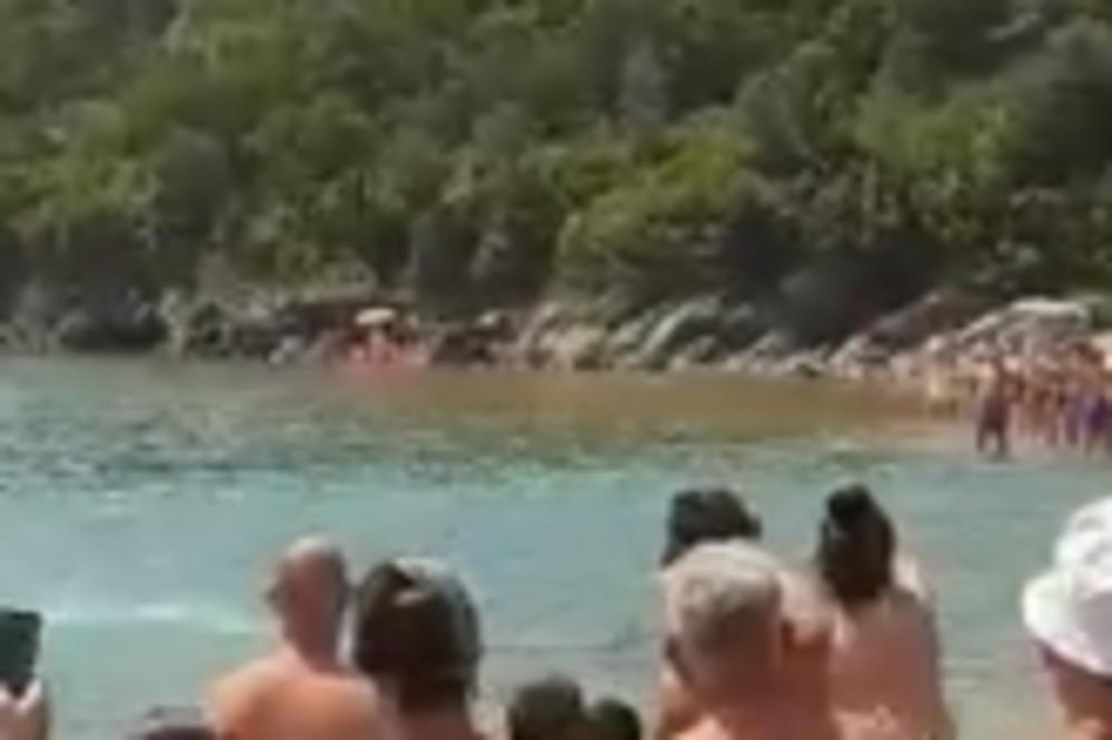 PANIKA NA PLAŽI U BUDVI, MISLILI DA JE U VODI AJKULA! Hrabri Nikola je uskočio u vodu i svima je laknulo (VIDEO)