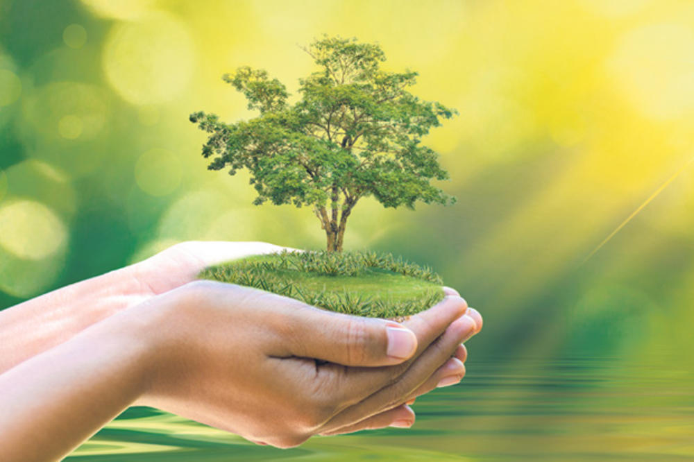 VELIKA AKCIJA ADRIA MEDIA GRUPE I DM DROGERIE MARKTA: Bez šuma nema života