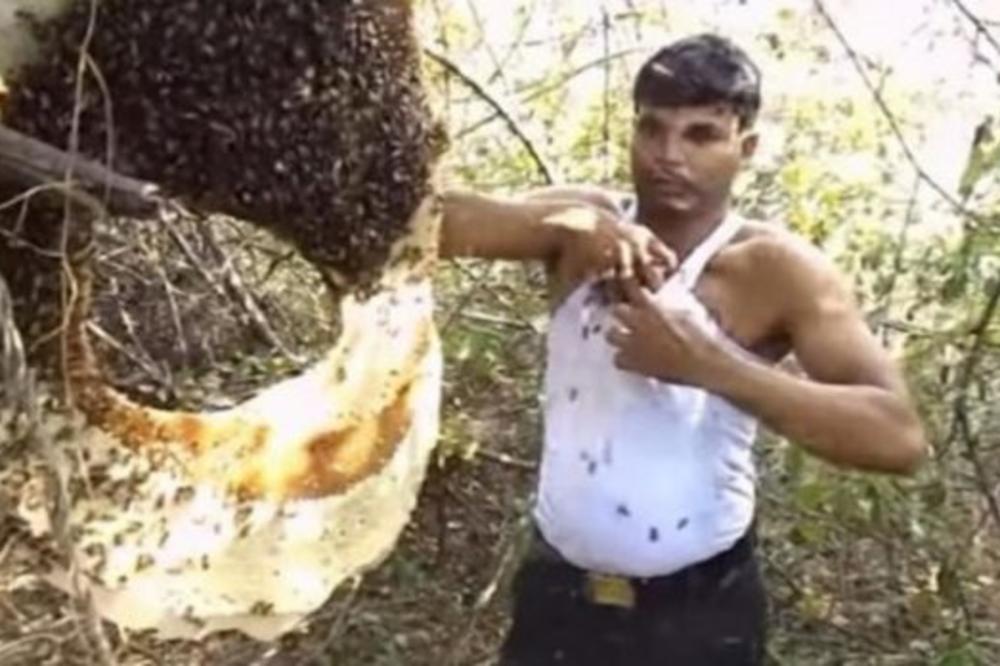 ISPOD MAJICE JE STRPAO PREKO 300 PČELA! Ćutao je dok su ga BOLELE! NJEGOVA REAKCIJA JE STRAVIČNA! (VIDEO)