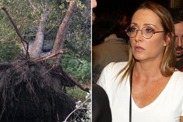 SRPSKOJ VODITELJKI DRVO PALO NA AUTO: Doživela je PAKAO na letovanju u CRNOJ GORI! (FOTO)