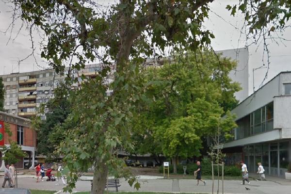 NA OVOM MESTU UNIŠTAVAJU IGRALIŠTE I SEKU DRVOREDE: Ugrožena je cela zgrada od 240 stanova, NAROD NEMOĆAN
