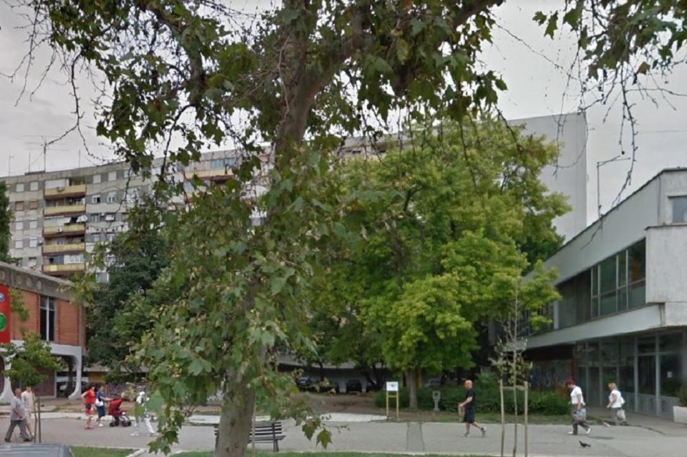 NA OVOM MESTU UNIŠTAVAJU IGRALIŠTE I SEKU DRVOREDE: Ugrožena je cela zgrada od 240 stanova, NAROD NEMOĆAN