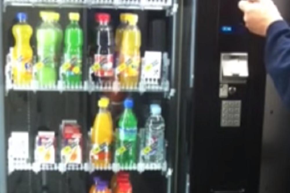 OMILJENA SRPSKA GRICKALICA JE ZARAŽENA! Otkriveno da je puna TOKSIČNOG METALA!