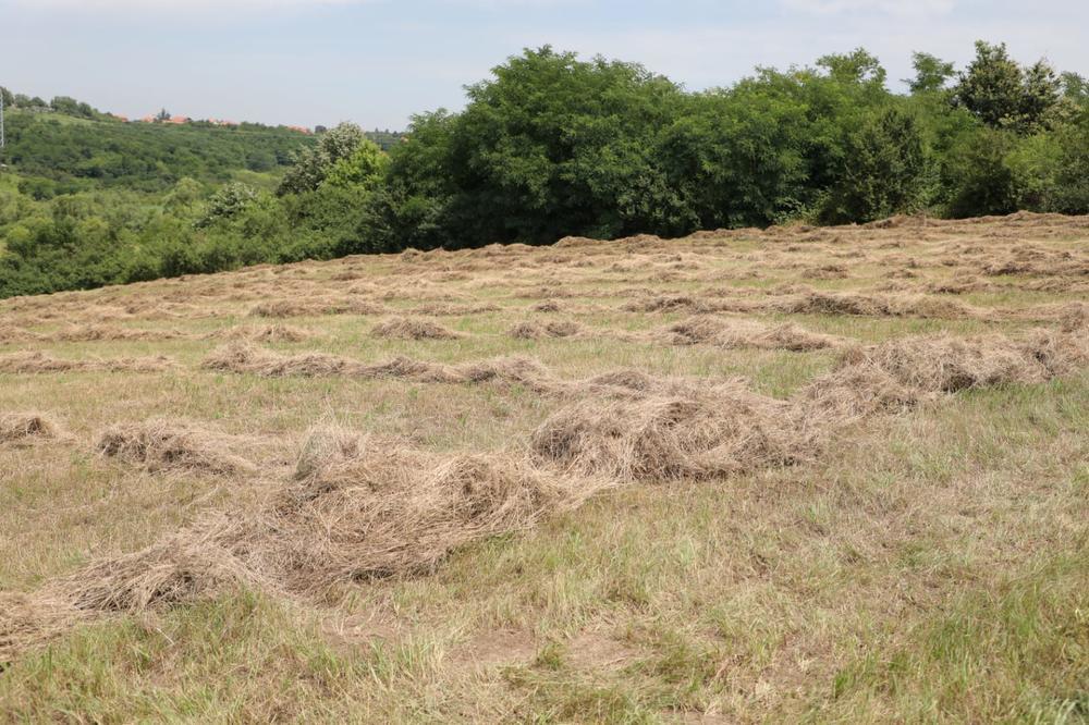 VRUĆINA ODNOSI ŽIVOTE U SRBIJI: Dva poljoprivrednika preminula od toplotnog udara