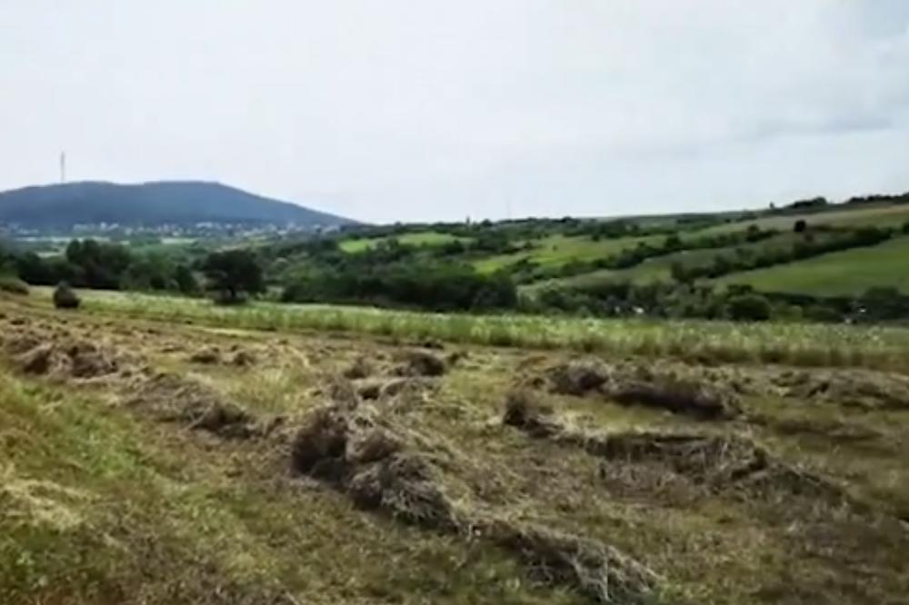 UHAPŠEN MILAN (47) ZBOG ZVERSKOG UBISTVA U SENU NA AVALI! Policija mu našla i pištolj iz koga je pucano