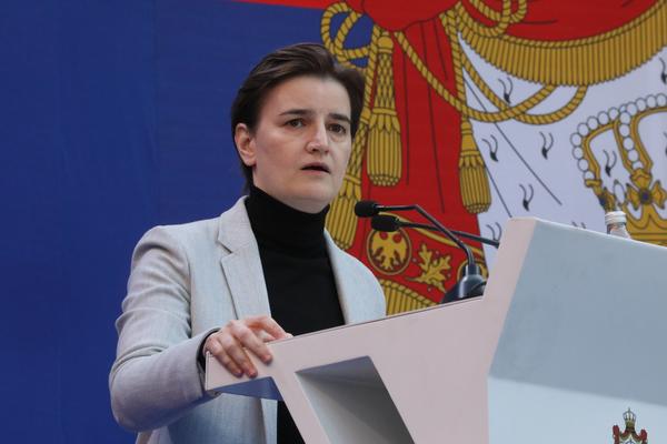 Brnabić vidi Teodorovićevu peticiju kao poziv na zabranu slobode govora