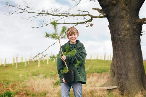 VELIKA AKCIJA ADRIA MEDIA GRUPE I DM DROGERIE MARKTA: Život jednog drveta