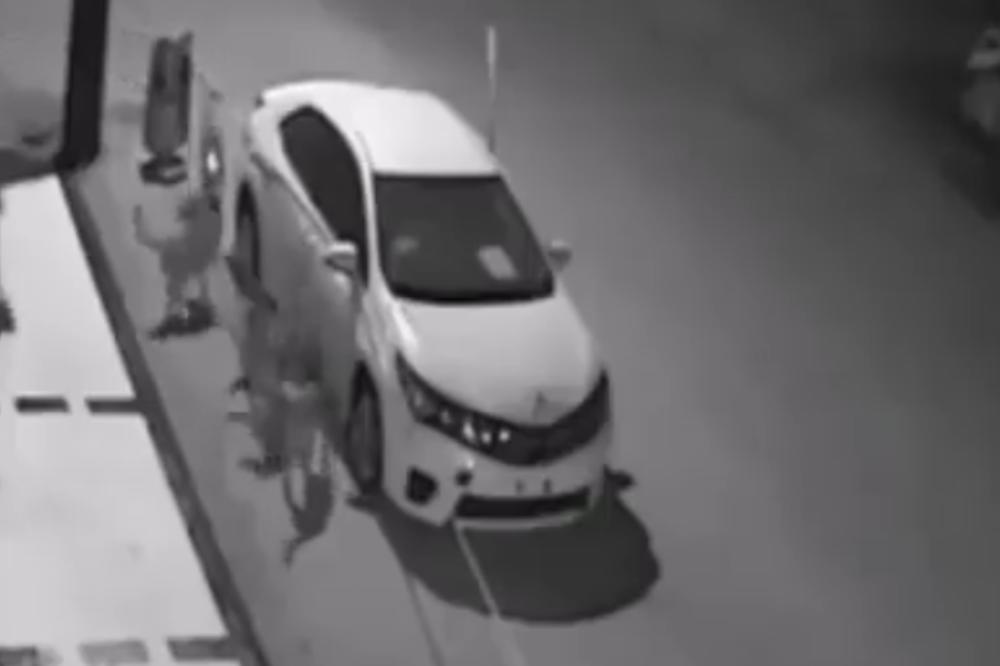 NAJČUDNIJI SNIMAK KOJI ĆETE VIDETI: Psi su usred noći okružili auto, a onda uradili nešto NEOBJAŠNJIVO (VIDEO)