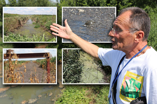 SRPSKI ČERNOBIL! Bili smo na kanalu nadomak Beograda, pun je otrovnog METANA, ljudi se žale na jak SMRAD i PACOVE!