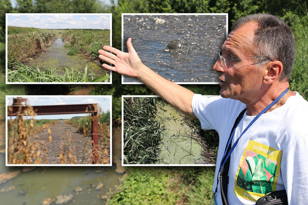 SRPSKI ČERNOBIL! Bili smo na kanalu nadomak Beograda, pun je otrovnog METANA, ljudi se žale na jak SMRAD i PACOVE!