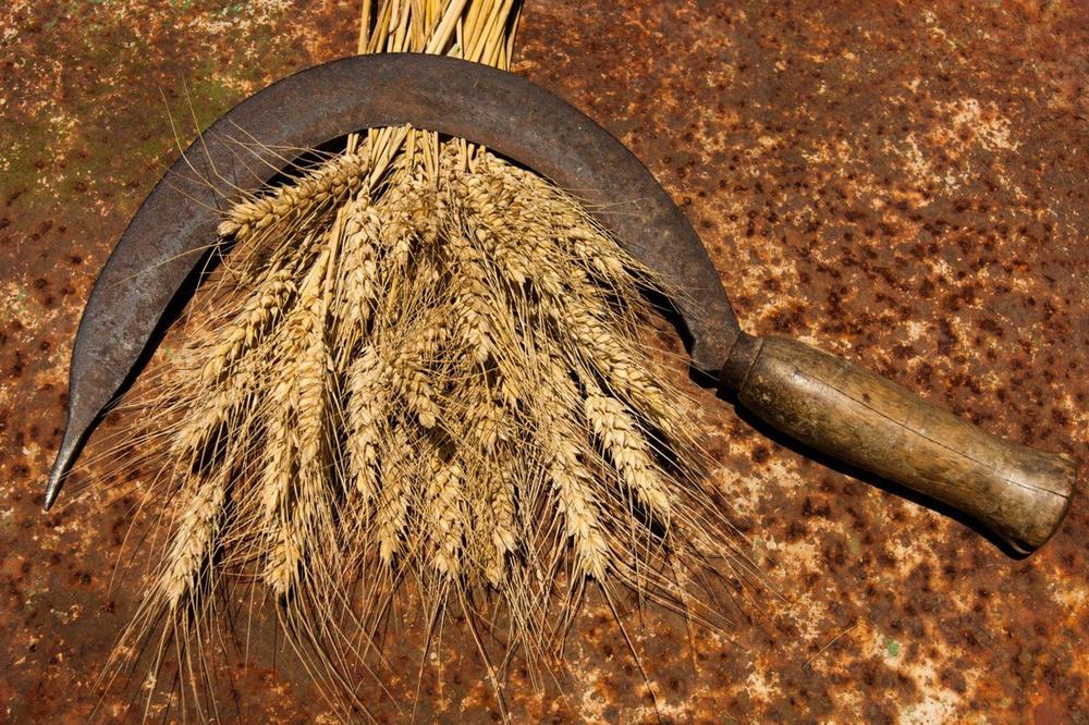 HOROR U SMEDEREVU: Jozef SRPOM nasrnuo na suprugu! Sada ga policija TRAŽI!