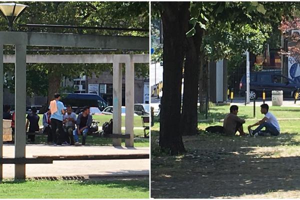 OTIŠLI SMO U BEOGRADSKI BRONKS U KOJI VIŠE NIJE BEZBEDNO IĆI SAM: Razlog je krvav i neće vam se dopasti (VIDEO)