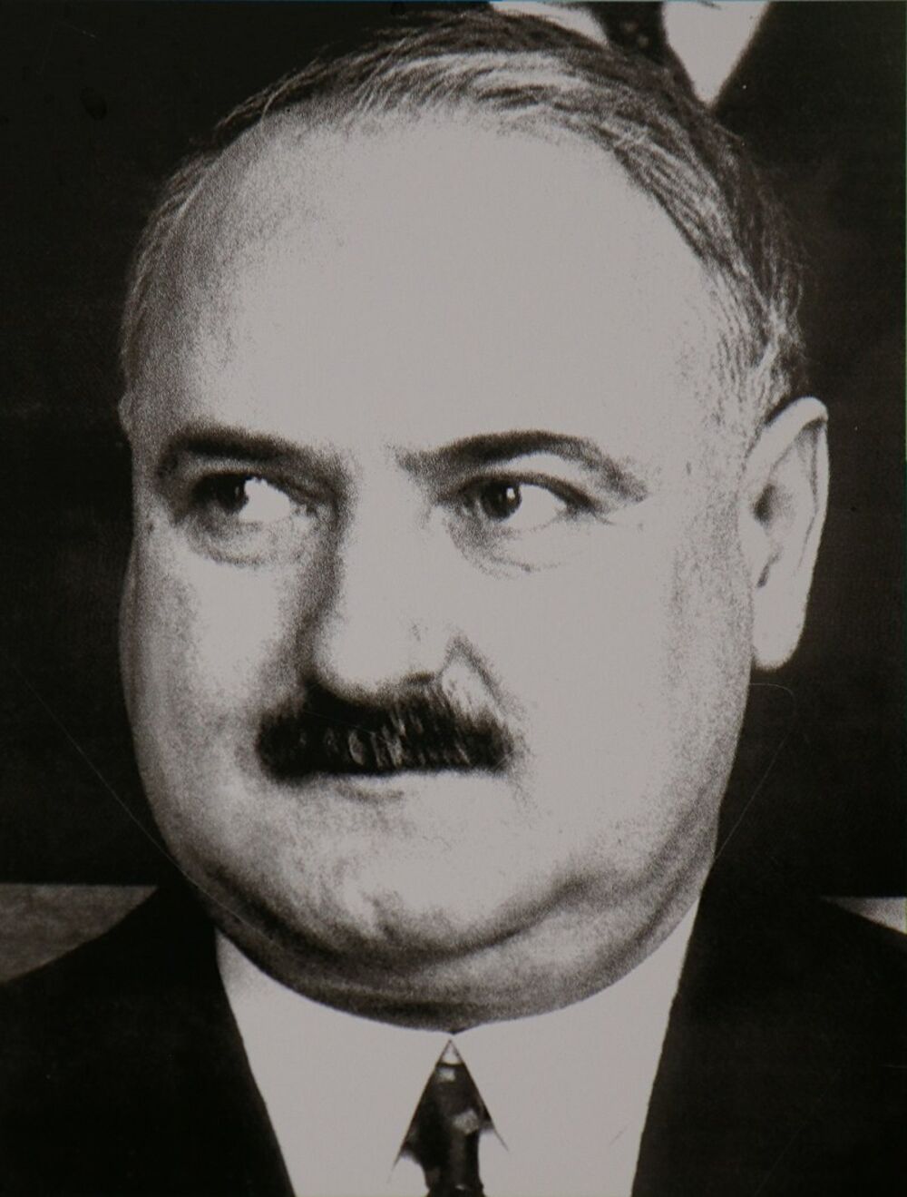 Vlada Ilić