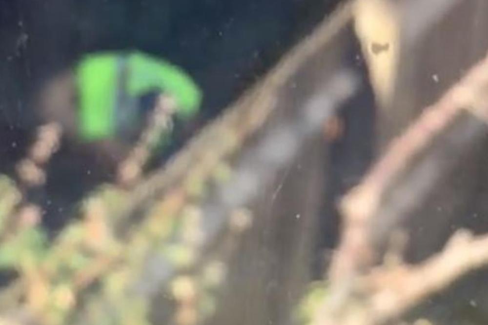 SNIMILA DOSTAVLJAČA KAKO U NJENOM DVORIŠTU RADI NEŠTO BAŠ GADNO: Smučio joj se život kad je ovo videla!