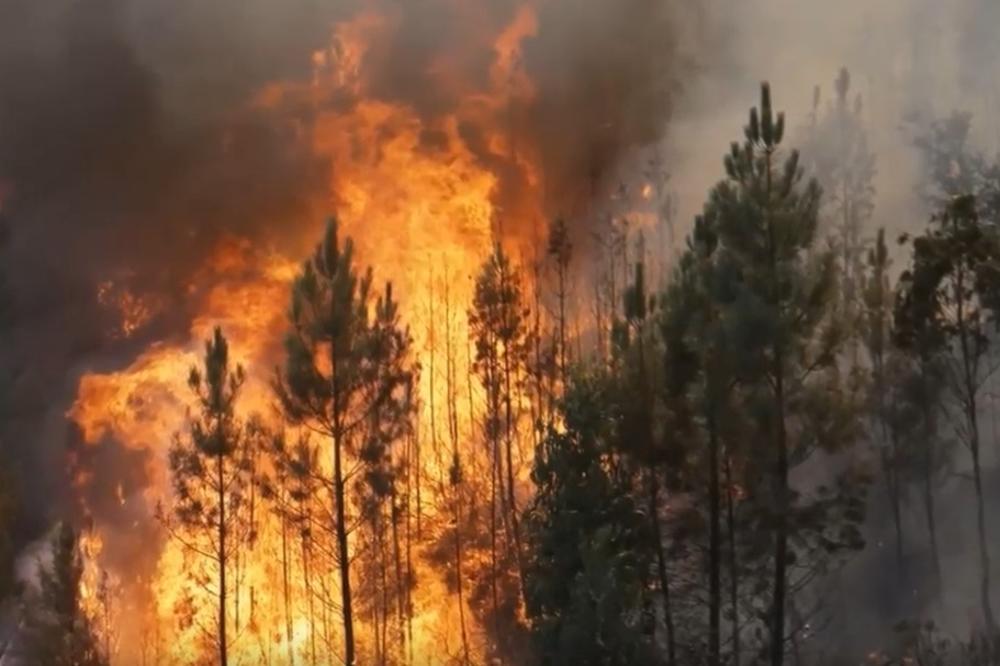 PONOVO SE RAZBUKTALA VATRA KOD OMIŠA: Gašenje požara otežava oluja!