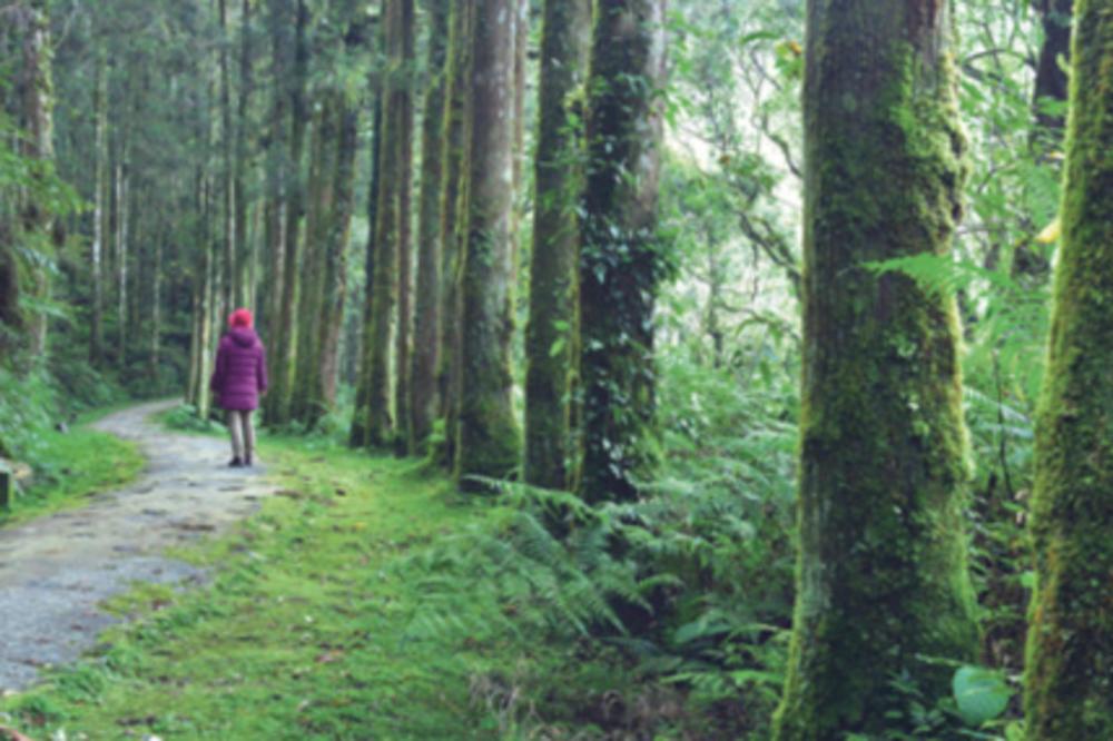 VELIKA AKCIJA ADRIJA MEDIJA GRUPE I DM DROGERIE MARKTA: Šume su najveći prirodni resurs