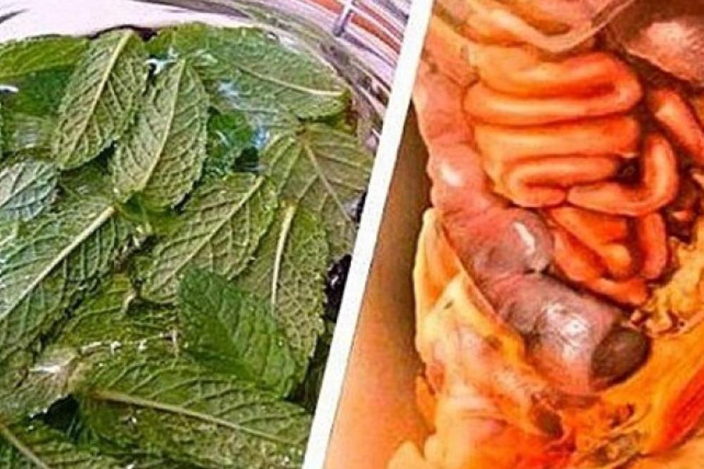 DOKTORI SU ZANEMELI KADA SU VIDELI REZULTATE! Za 5 dana DIJABETES je nestao, a sve zahvaljujući PRIRODNOM NAPITKU!