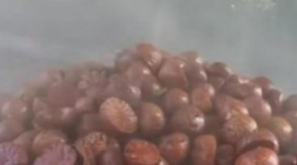 SRBI JE JEDU KAO DA JE POSLEDNJA NA SVETU, A RAZARA ORGANE! Namirnicu PRESKOČITE, posle će biti kasno!
