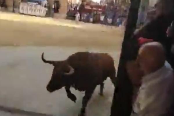 LJUDI SE OKUPILI NA ULICI, A ONDA JE ISTRČAO BIK! Ono što je usledilo je ČIST HOROR (VIDEO)