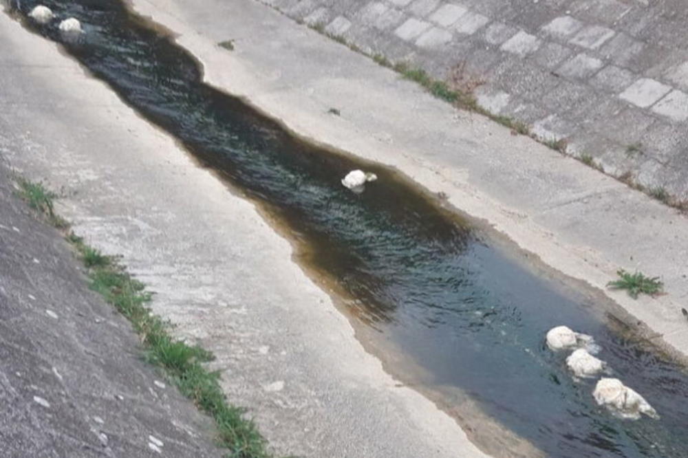 EVROPA NE PAMTI OVAKVO STANJE: Da li nam preti strašna suša?