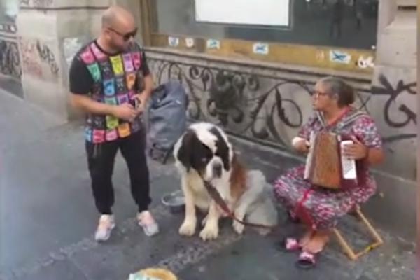 SVE ZA INSTAGRAM! Mili se SPRDA sa bakicom koja PROSI da bi snimio kako joj daje 50 DINARA??? (VIDEO)