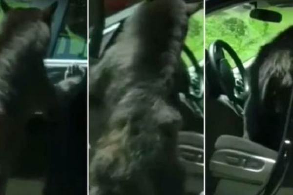 DIJANA JE OSTAVILA OTKLJUČAN AUTO! Upalila je kameru i snimila ŠOK SCENU!  (VIDEO)