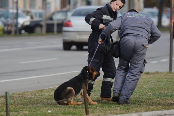 PAS BEZ PRATNJE VLASNIKA NASRTAO NA PROLAZNIKE: Deca su vrištala, policajac iz Šapca spasao mališane!