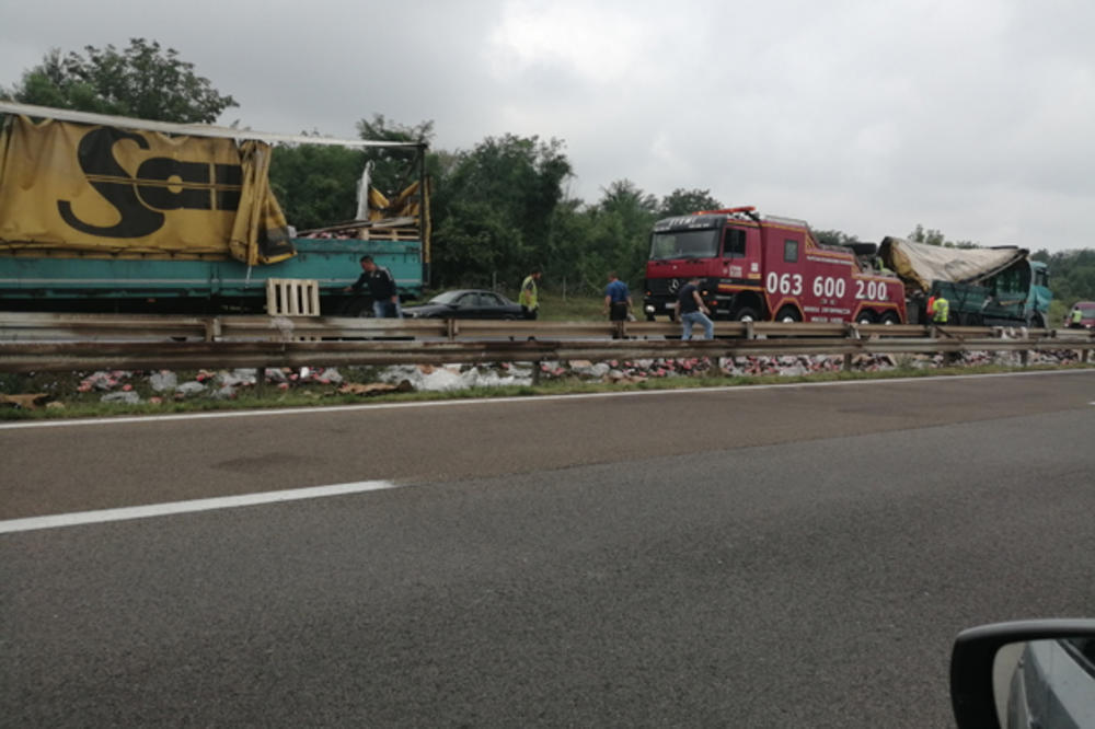 SRBI, DOKLE VIŠE?! NOVA NESREĆA KOD VELIKE PLANE: Kamion zakačio autobus, veliki zastoj u saobraćaju i dalje traje!
