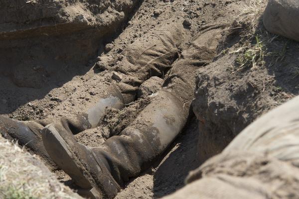 MASOVNA GROBNICA: Kod Vukovara pronađeni posmrtni ostaci 10 osoba