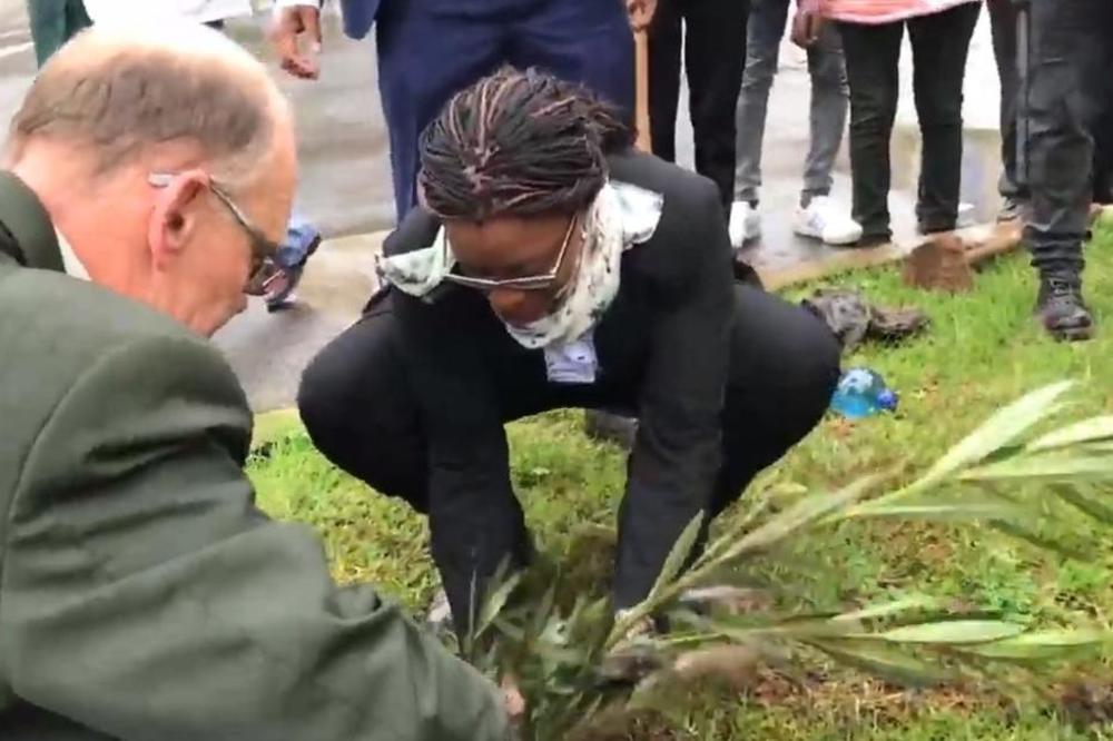 OBORILI SVETSKI REKORD I ODUŠEVILI PLANETU: Zasadili 350 miliona stabala u jednom danu, a to je tek početak