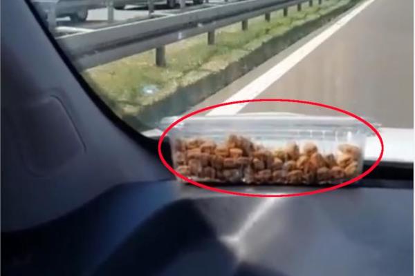 JEDAN DETALJ JE STAVIO U DRUGI PLAN OGROMNU GUŽVU KA BEOGRADU! Vozač je postao najveći hit na intenetu! (FOTO)