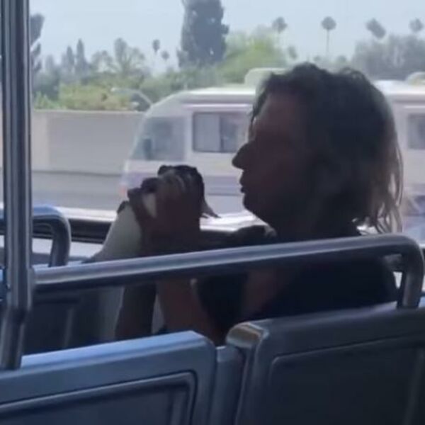 NARKOMANKA MUČILA LJUBIMCA PA GA PROGUTALA: Veterinar se ZGORZIO kad je video snimak na sudu, OVAKO SE BRANILA!