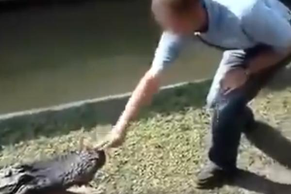 GURAO JE RUKU ALIGATORU U USTA: Završilo se baš onako kako očekujete! (VIDEO)