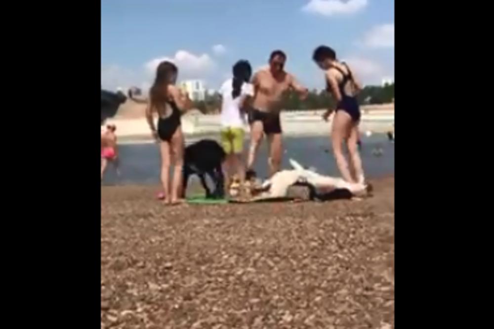 UŽASAN INCIDENT NA PLAŽI. Svi se GADE posle ovog što je uradio ovaj DIVLJAK! (VIDEO)