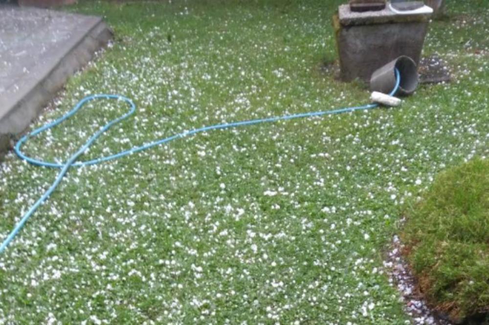 (FOTO) GRAD POGODIO MELENCE! Nevreme zahvatilo delove Banata!