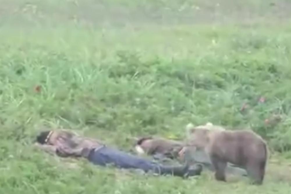 PIJANI RUSI ZASPALI SU NA LIVADI: Onda se niotkuda pojavio MEDVED! (VIDEO)