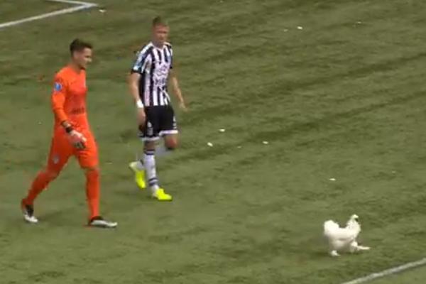 POTPUNI HAOS U HOLANDIJI: Navijači zasuli teren jajima i ubacili uljeza na travu! Tako oni ratuju protiv uprave!