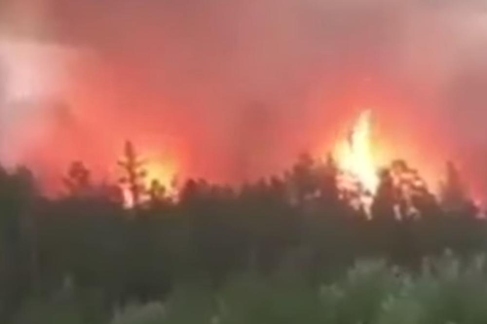 ŠUMSKI POŽAR VELIKIH RAZMERA: Borbu sa VATROM vodili i PUTINOVI AVIONI