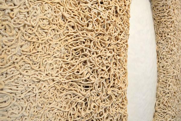 NE GASI UM, VOLJU, ČULA: Izložba Andree Ivanović Jakšić