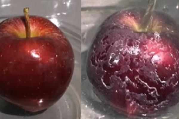 CEO ŽIVOT JABUKE PEREMO NA POGREŠAN I OPASAN NAČIN! Pa da li je moguće da smo OVOLIKO GREŠILI?